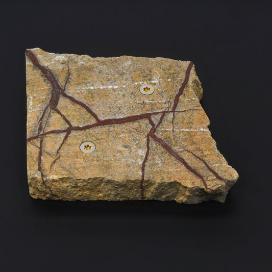 Veiny Unique 2cm Holds